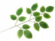 Sztuczne kwiaty - SZTUCZNY LIŚĆ ŁODYGA pik LISTKI RÓŻY do stroika bukietu dekoracji gałązka - miniaturka - grafika 1