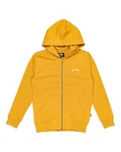 Bluzy dla chłopców - BILLABONG Bluza chłopięca Arch Zh Lt (1 szt.) - miniaturka - grafika 1