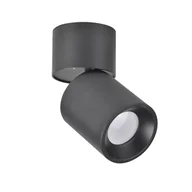 Lampy sufitowe - Polux Oczko natynkowe 1x10W GU10 Nixa 314246 SANICO 314246 - miniaturka - grafika 1