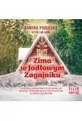 Audiobooki - literatura piękna - CD MP3 Zima w Jodłowym Zagajniku - miniaturka - grafika 1