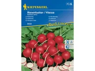 Nasiona i cebule - Rzodkiewka Vitessa Nasiona Rzodkiewki Kiepenkerl - miniaturka - grafika 1