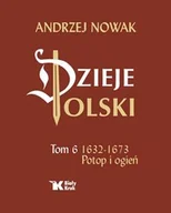 Historia świata - Dzieje Polski Tom 6 Potop i ogień 1632-1673 - miniaturka - grafika 1