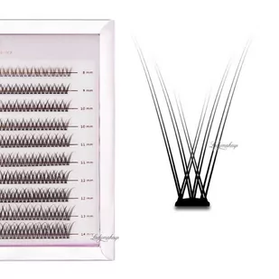 Many Beauty - Many Lashes - Master Box V-Lashes - 0,07 mm - C - Duży zestaw kępek do rzęs - 400 sztuk - Sztuczne rzęsy i akcesoria - miniaturka - grafika 1