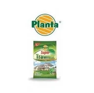 Nasiona i cebule - NASIONA TRAWY SUPER TRAWNIK MOCNA 200g na 8m² - miniaturka - grafika 1