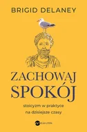 E-booki - poradniki - Zachowaj spokój. Stoicyzm w praktyce na dzisiejsze czasy - miniaturka - grafika 1