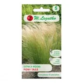Nasiona i cebule - Legutko Ostnica mocna Pony Tails zielona - miniaturka - grafika 1