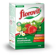 Nawozy ogrodnicze - Nawóz do truskawek i krzewów owocowych karton 1 kg Florovit - miniaturka - grafika 1