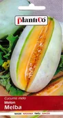 Nasiona i cebule - Melon Melba wczesny, plenny nasiona 1g PlantiCo - miniaturka - grafika 1