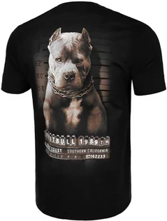 Koszulki sportowe męskie - Pit Bull T-Shirt Mugshot II Black - grafika 1