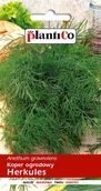 Nasiona i cebule - NASIONA Koper Ogrodowy Herkules 5g PLANTICO 408098 - miniaturka - grafika 1