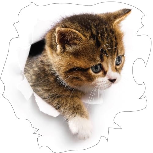 Ambiance Naklejka ścienna do sypialni, pokoju dziecięcego i salonu z kotem kontemplując w swojej kryjówce - wys. 45 x dł. 45 cm