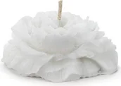 Świece - Świeca pływająca piwonia matowa biały 8cm 4szt - miniaturka - grafika 1
