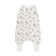 Śpiworki dla dzieci - Śpiworek do spania z nogawkami Astronom 2,5 TOG - miniaturka - grafika 1