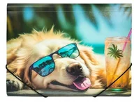 Teczki i skoroszyty - Teczka A4 PP z nadrukiem Chillout Dog - miniaturka - grafika 1