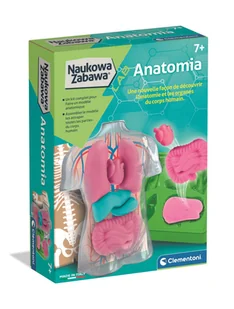 Naukowa Zabawa. Anatomia Clementoni - zabawka - Mały naukowiec - miniaturka - grafika 1