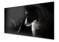 Dekoracje domu - Panel kuchenny HOMEPRINT Portret kota i psa 120x60 cm - miniaturka - grafika 1