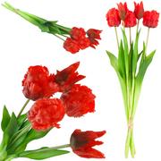 Sztuczne kwiaty - Tulipany Tulipan Papuzie Bukiet Gumowane 5Szt Real - miniaturka - grafika 1