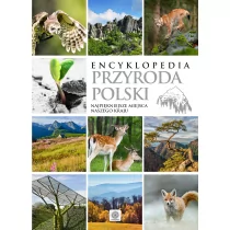 Encyklopedia Przyroda Polski Najpiękniejsze miejsca naszego kraju - Nauki przyrodnicze - miniaturka - grafika 1