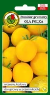 Nasiona i cebule - Pomidor Ola Polka Karłowy Żółty Nasiona Bez Gmo - miniaturka - grafika 1