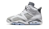 Buty sportowe męskie - Air Jordan 6 Cool Grey - miniaturka - grafika 1