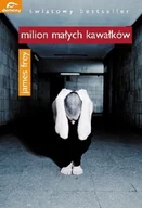 Literatura obyczajowa - Milion małych kawałków - miniaturka - grafika 1
