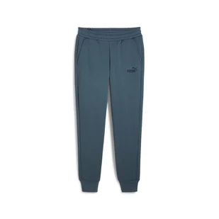 Męskie Spodnie PUMA ESS LOGO PANTS FL CL (S) 58671537 – Szary - Spodnie męskie - miniaturka - grafika 1
