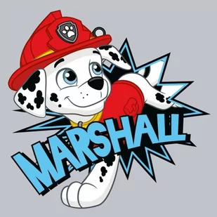 Paw Patrol Magiczny Ręcznik Mały Do Rąk 30 X 30 - Okrycia kąpielowe dla dzieci - miniaturka - grafika 1