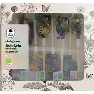 Herbata - Dary Natury Herbatki Na Patyku Kolekcja Herbat Zestaw 100% Ekologiczne 8szt - miniaturka - grafika 1