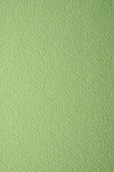 Dekoratorstwo - Papier brystol dla plastyków 220g zielony A3 10ark - miniaturka - grafika 1