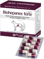 Suplementy i witaminy dla psów - BIOWET Biohepanex forte 40 kapsułek - miniaturka - grafika 1
