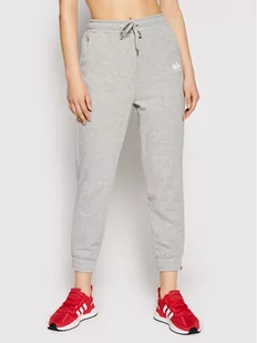 Alpha Industries Spodnie dresowe Basic 116051 Szary Regular Fit Szary - Spodnie sportowe damskie - miniaturka - grafika 1
