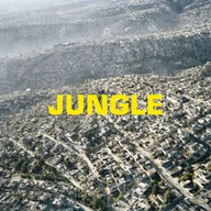 Muzyka klubowa, dance - Jungle - miniaturka - grafika 1