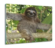 Deski do krojenia - z foto osłonka ze szkła Leniwiec drzewo las 60x52, ArtprintCave - miniaturka - grafika 1