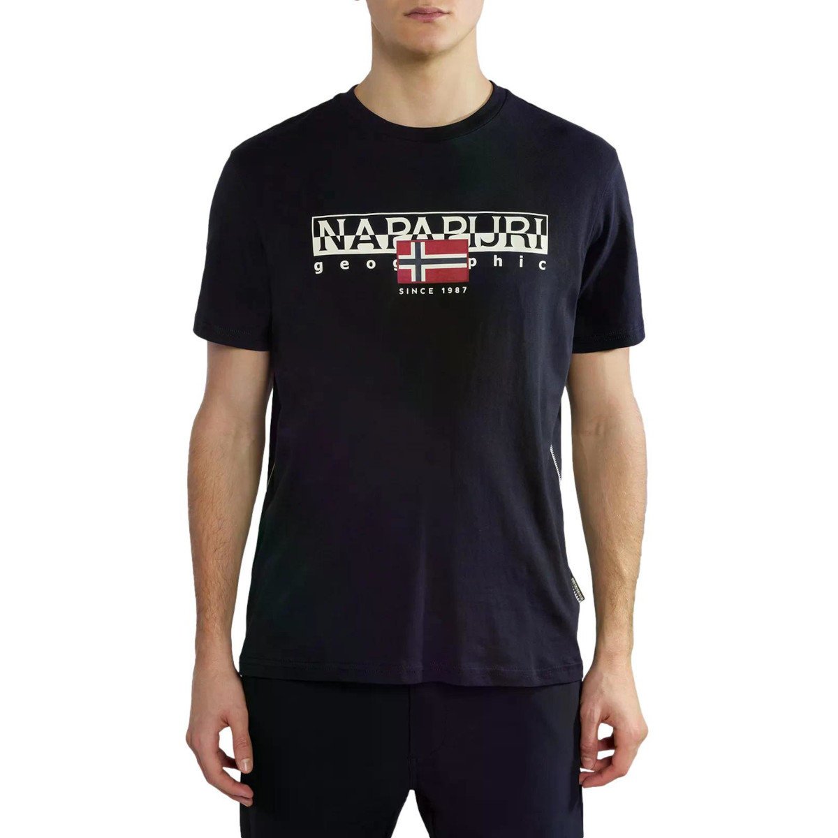 Koszulka męska Napapijri NP0A4HTO041 S-AYLMER BLACK Czarna