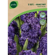 Nasiona i cebule - Hiacynt Twin Pearl 15/16 2szt. Cebulki kwiatów Geolia - miniaturka - grafika 1