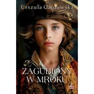 Literatura obyczajowa - Zagubiony w mroku - miniaturka - grafika 1
