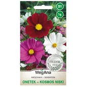 Nasiona i cebule - Onętek Kosmos niski Sensation mieszanka nasiona 1g - WegAna - miniaturka - grafika 1