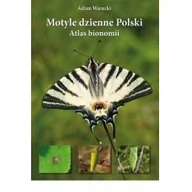 Albumy inne - Motyle dzienne Polski - miniaturka - grafika 1