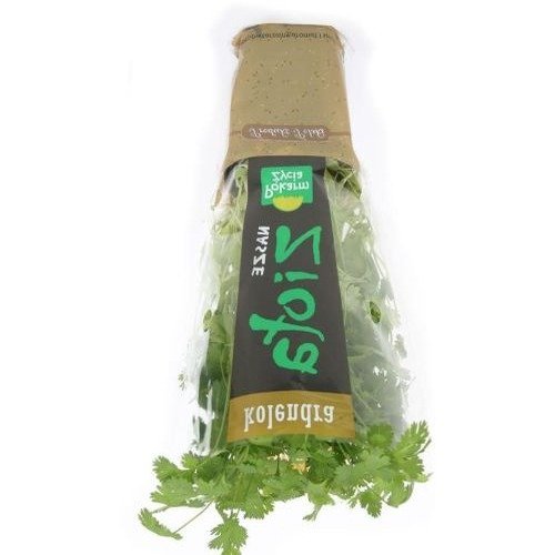 Kolendra w doniczce - świeże zioła do Twojej kuchni