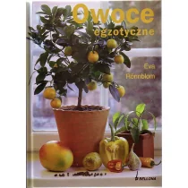 Owoce egzotyczne - Dom i ogród - miniaturka - grafika 3