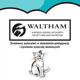 DREAMIES 6x60g –przysmak dla kota, o smaku wybornego łososia - Przysmaki dla kotów - miniaturka - grafika 4