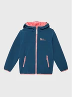 Odzież trekkingowa dziecięca - Kurtka softshell Jack Wolfskin - miniaturka - grafika 1