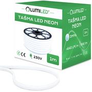 Taśmy LED - Taśma Led Neon 230V 8W 120Led Zimna Ip68 1M Lumiled - miniaturka - grafika 1