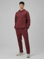 Spodnie sportowe męskie - 4F Spodnie dresowe męskie - burgundowe S - miniaturka - grafika 1
