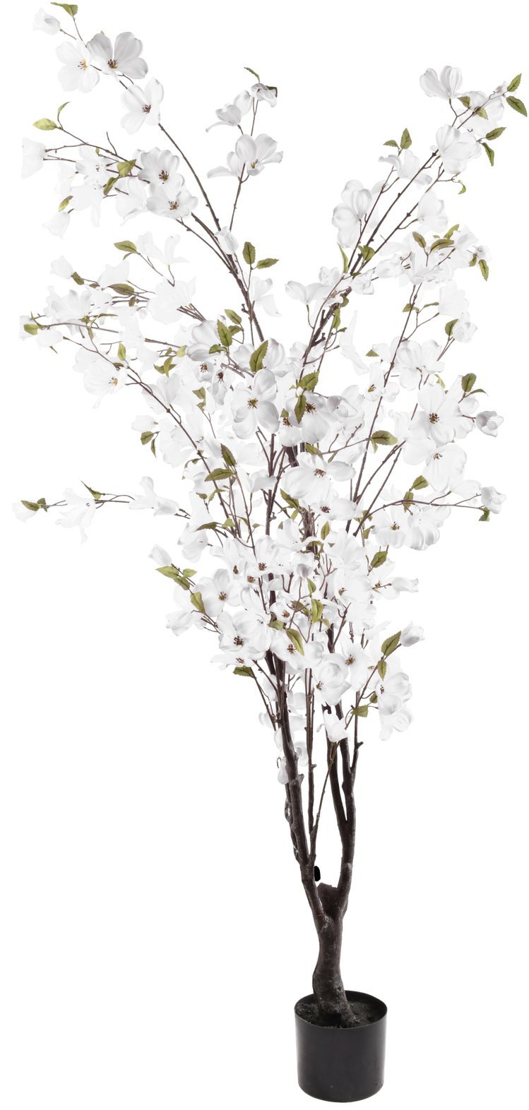 Direct Home and Garden Drzewko Cornus sztuczne 175 cm