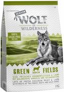 Sucha karma dla psów - Wolf of Wilderness Senior "Green Fields", jagnięcina (bez zbóż) - 1 kg - miniaturka - grafika 1