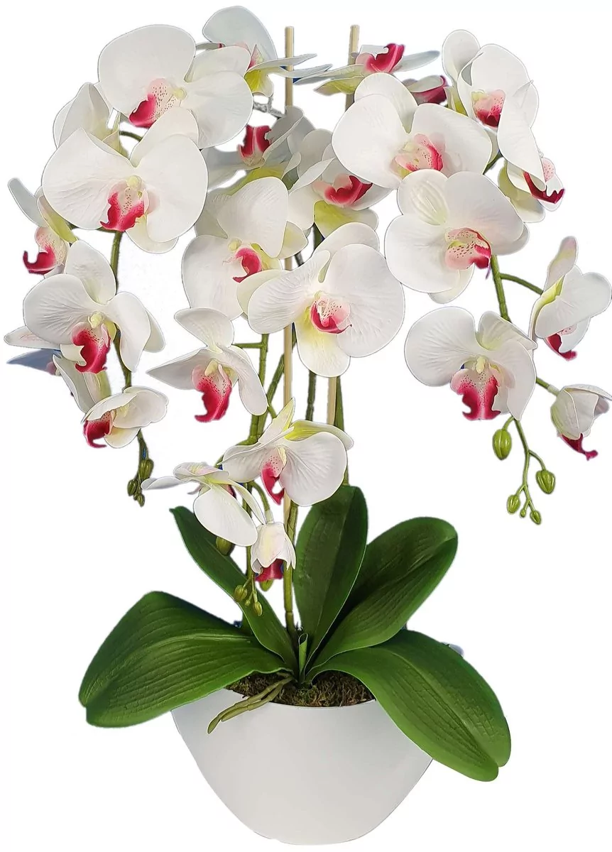 Storczyk sztuczny 3pgb2 orchidea jak żywy