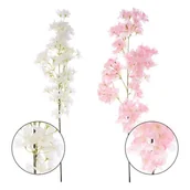 Nasiona i cebule - JABŁOŃ - GAŁĄZKA 95 CM - miniaturka - grafika 1