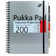 Szkolne artykuły papiernicze - Pukka Pad Kołobrulion A4 200 kartek w kratkę Executive Project Book Metallic srebrny - miniaturka - grafika 1