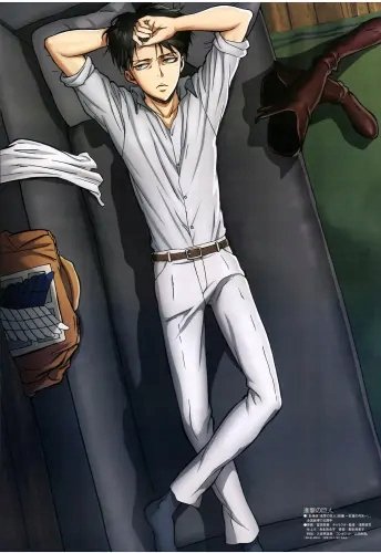 Plakat Anime Attack on Titan aot_062 A1+ (custom)